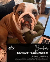 Queen of To Do pet travel care personal assistant services